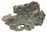 Pica Glass ( g) - Meteorite Impactite From Chile #235336-1